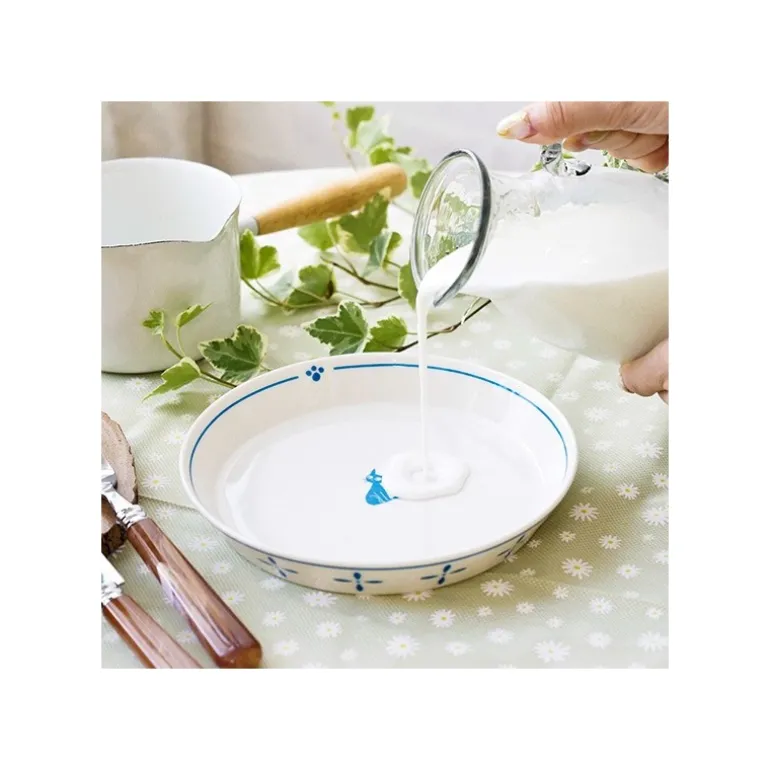 Assiette Osono Jiji - Kiki la petite sorcière