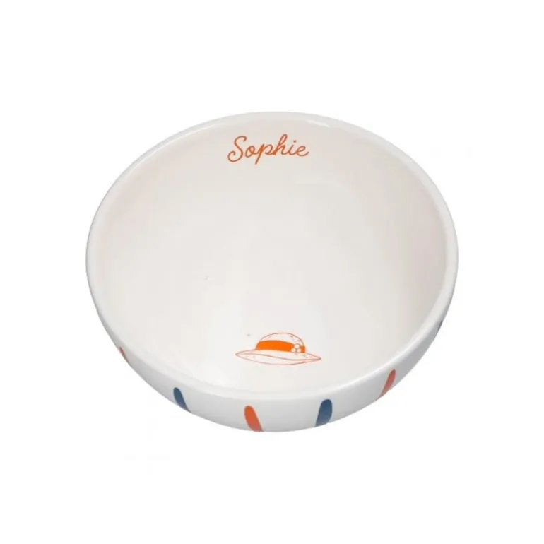 Bol Sophie - Le Château ambulant