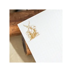 Carnet de notes B6 Les animaux dans le forêt - Princesse Mononoké