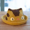 Chapeau Tricoté Enfant Totoro Chatbus - Mon Voisin Totoro