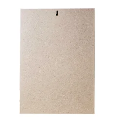 Tableau 35x50 Affiche Japonaise – Totoro